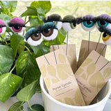 Felt Planter Eyeballs 👁️👁️