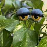 Felt Planter Eyeballs 👁️👁️