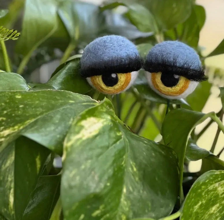 Felt Planter Eyeballs 👁️👁️
