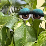 Felt Planter Eyeballs 👁️👁️