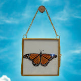 Mini Paintings - Local Artist ⭐️ Jill B.